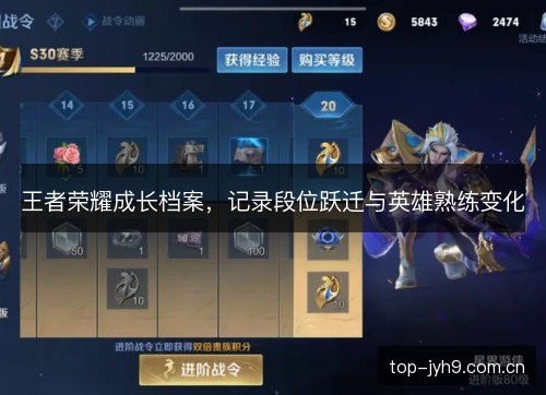 王者荣耀成长档案,记录段位跃迁与英雄熟练变化 王者荣耀成长档案,记录段位跃迁与英雄熟练变化